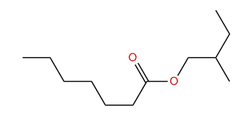 2-Methylbutyl heptanoate